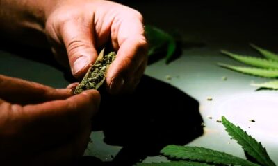 hashish