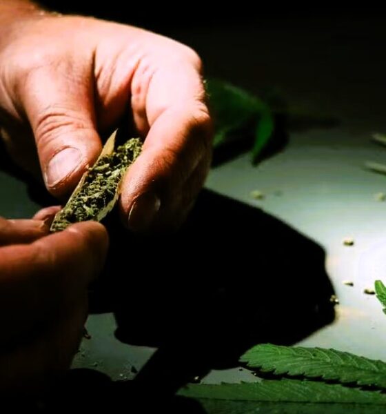 hashish
