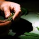 hashish
