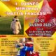 Memorial Mattia Fracassi 527 x 746