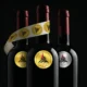 PUBBLICITA CDV banner