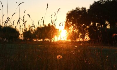 Alba a Nepezzano