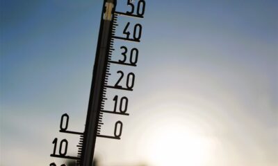 Caldo estramo