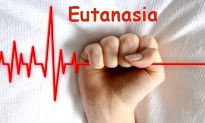 Eutanasia