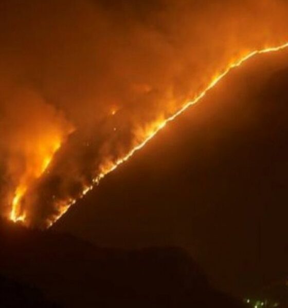 Incendio montagna