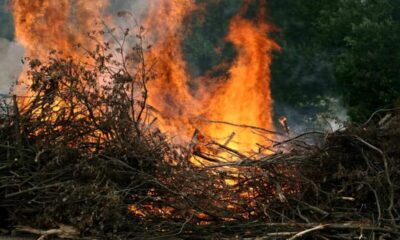 Incendio sterpaglie