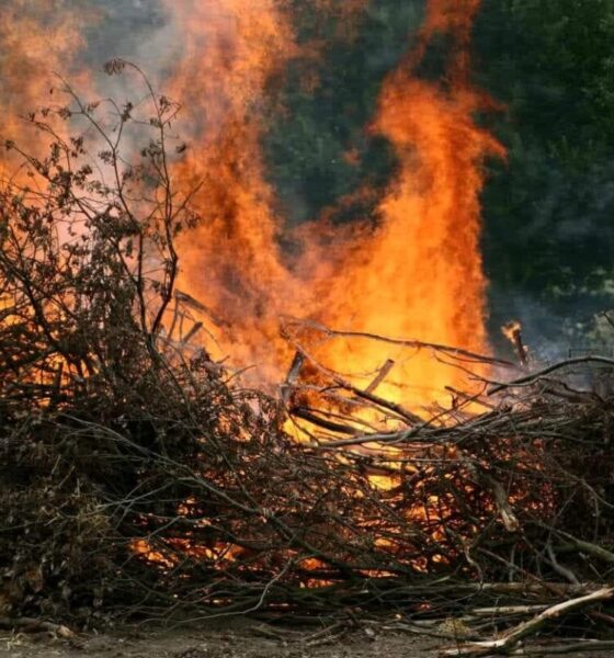 Incendio sterpaglie