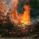 Incendio sterpaglie