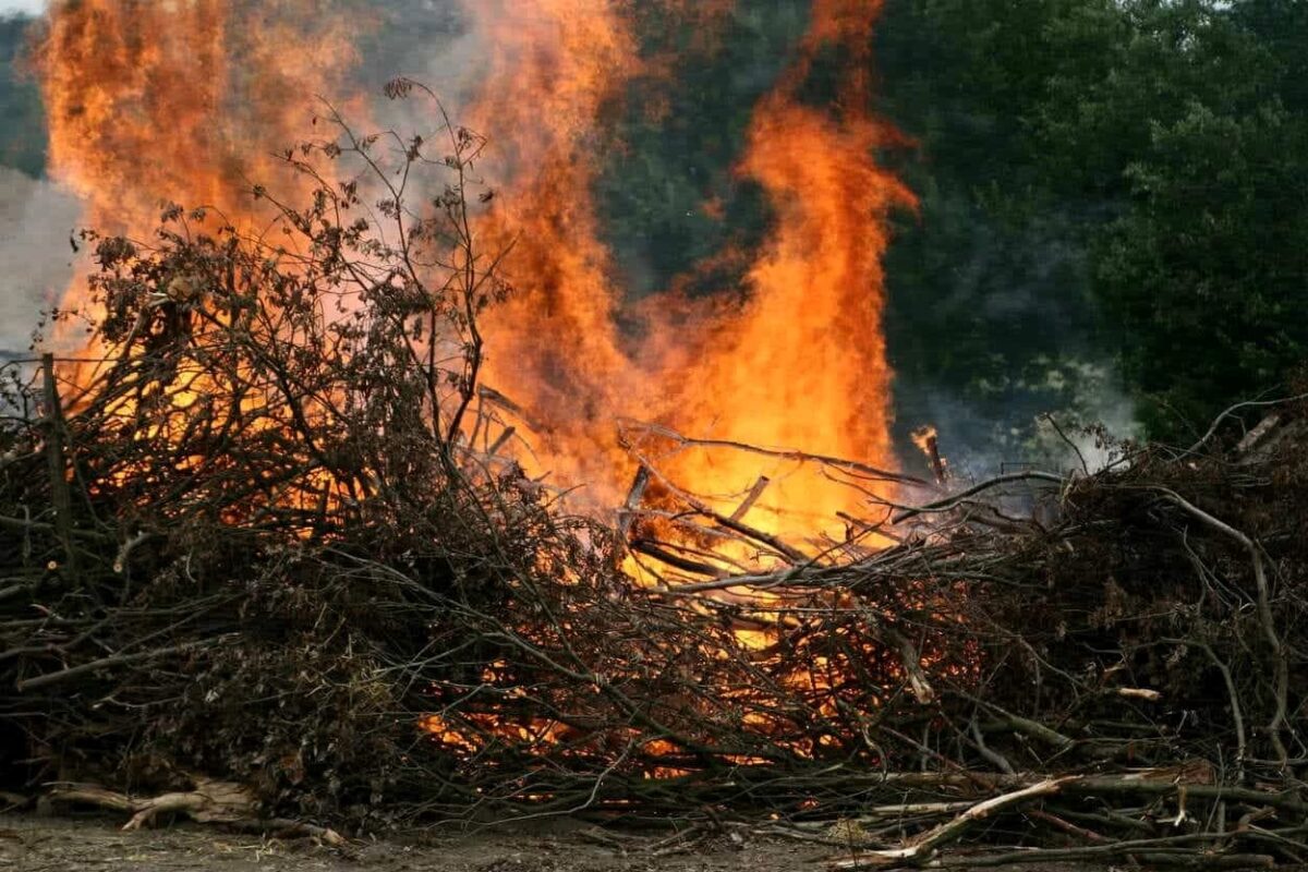 Incendio sterpaglie