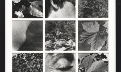 Elisa Montessori, Dafne, stampa fotografica, 75x75 cm, 1977