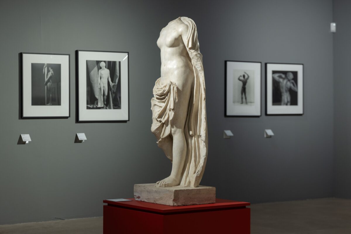 AraPacis_Robert Mapplethorpe_Ph. Wps