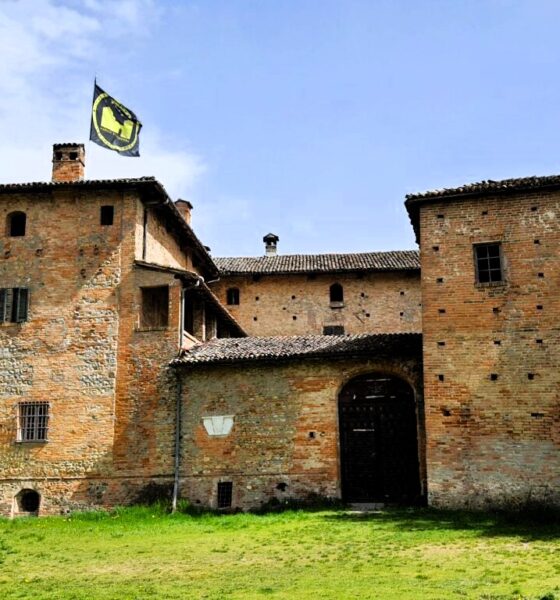 Centro Studi Rinascimento Nazionale