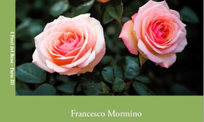Copertina_I Fiori del Bene. Parte III