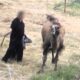 LAV_FFW_InchiestaCirchi14-07-2026 alle 104947 10
