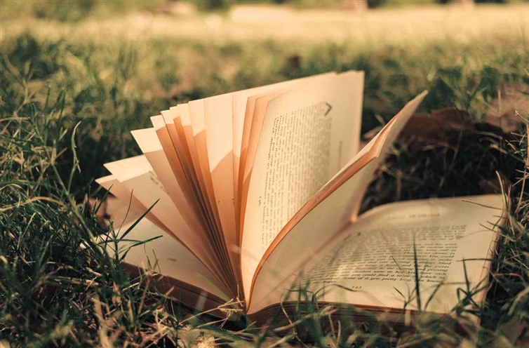 Libro
