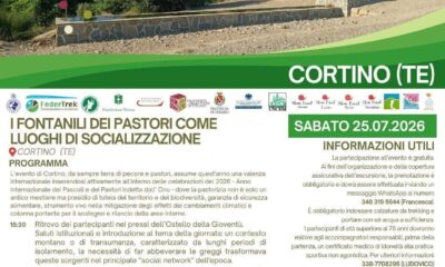 Locandina 25 luglio