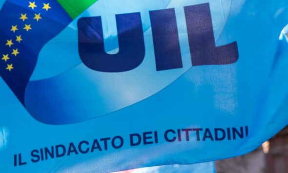 Uil