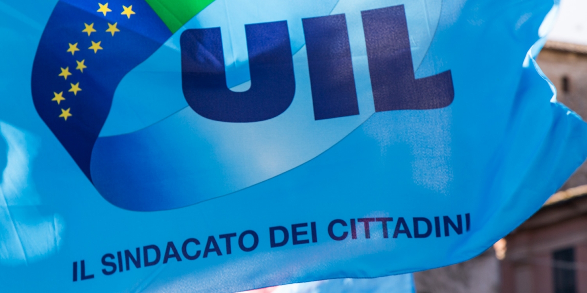 Uil