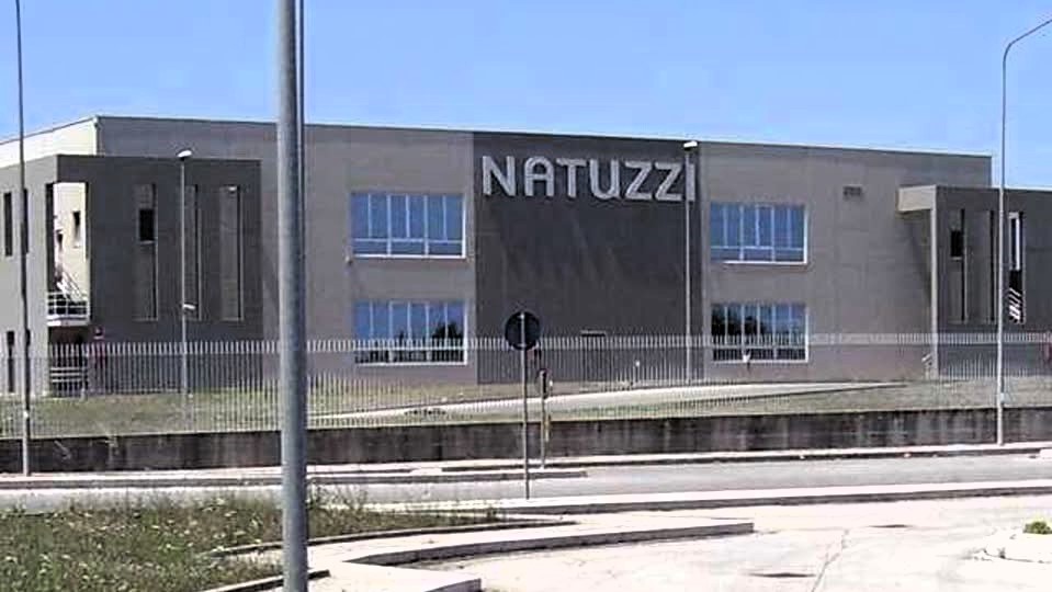 Natuzzi