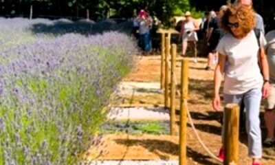 percorso sensoriale presso il Lavandeto di Collelongo
