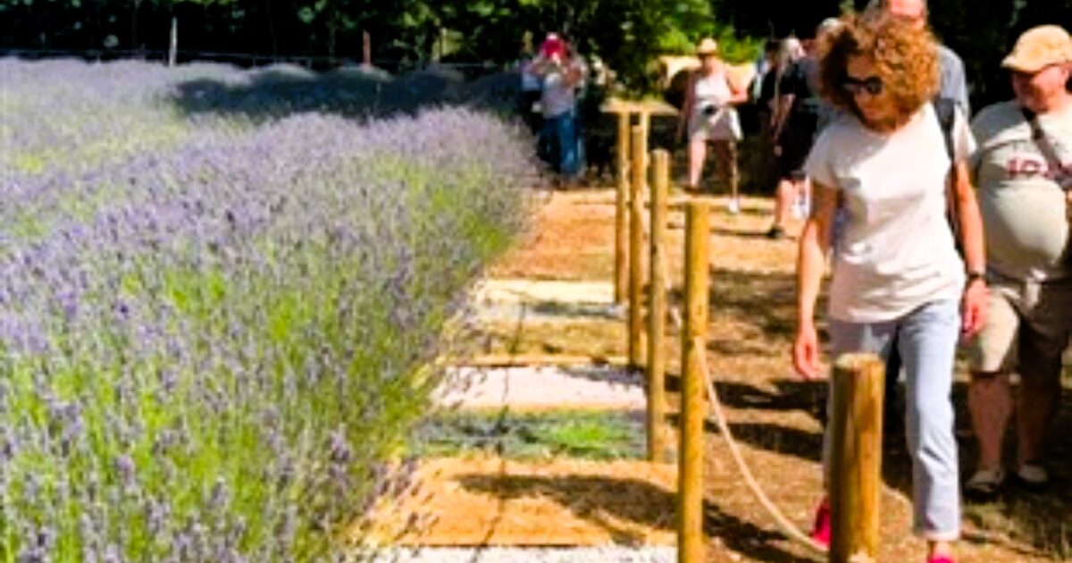 percorso sensoriale presso il Lavandeto di Collelongo