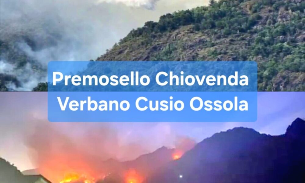 Incendio boschivo