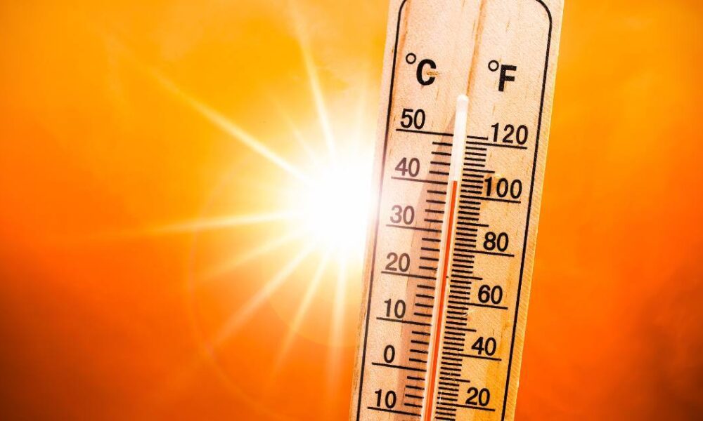 Caldo record