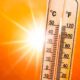 Caldo record