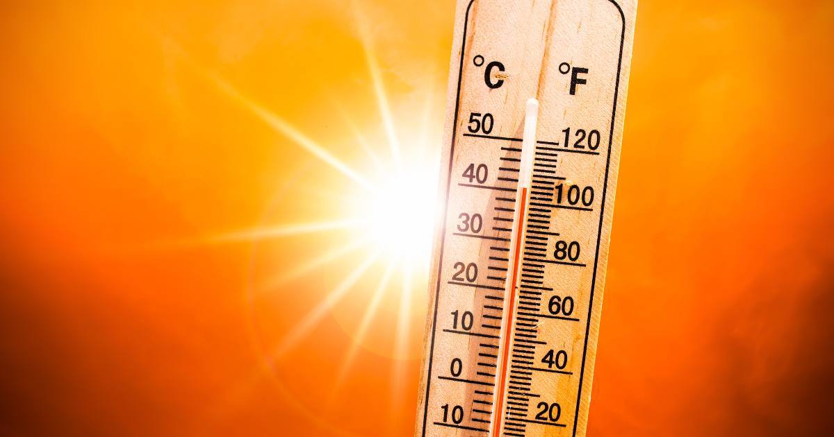 Caldo record