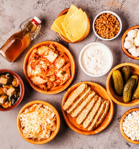 Cibi fermentati