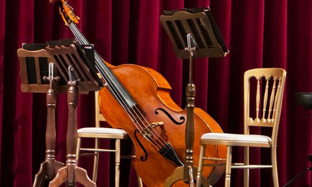 Contrabasso