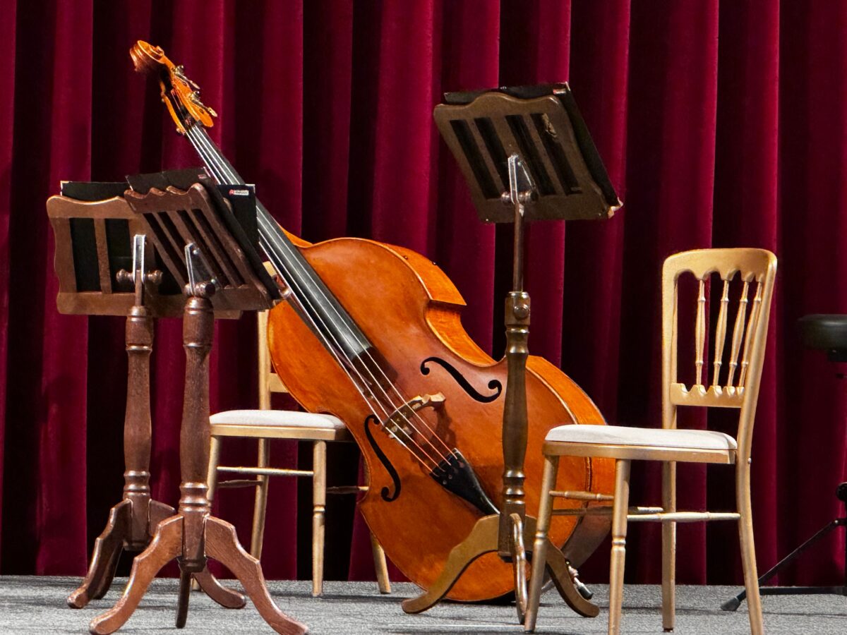 Contrabasso