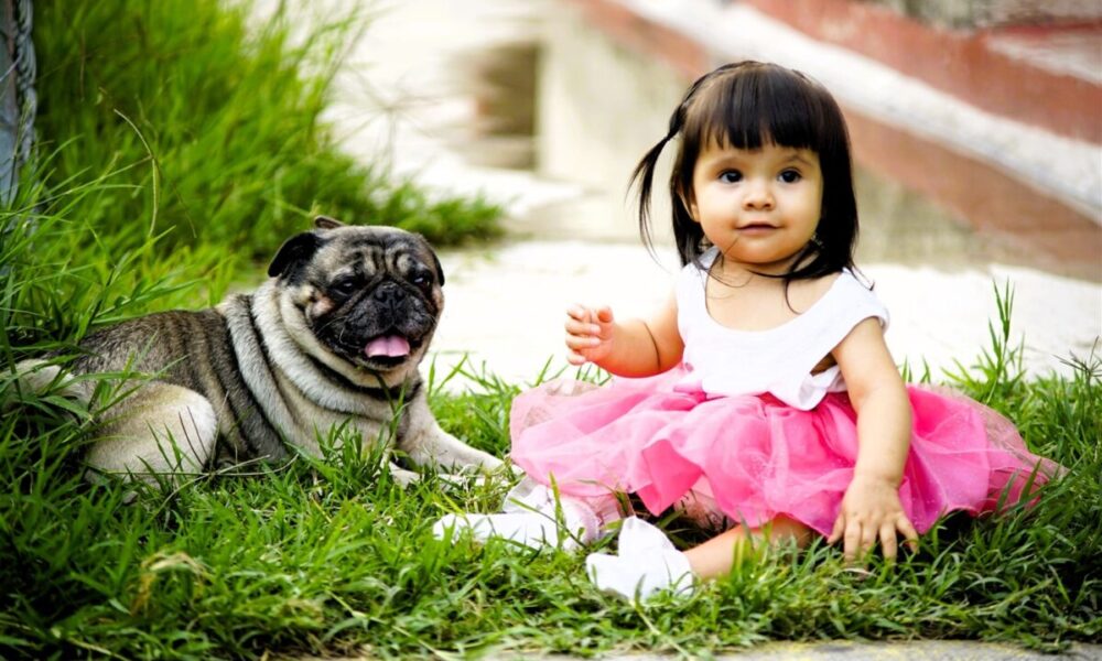 Bambina con cane