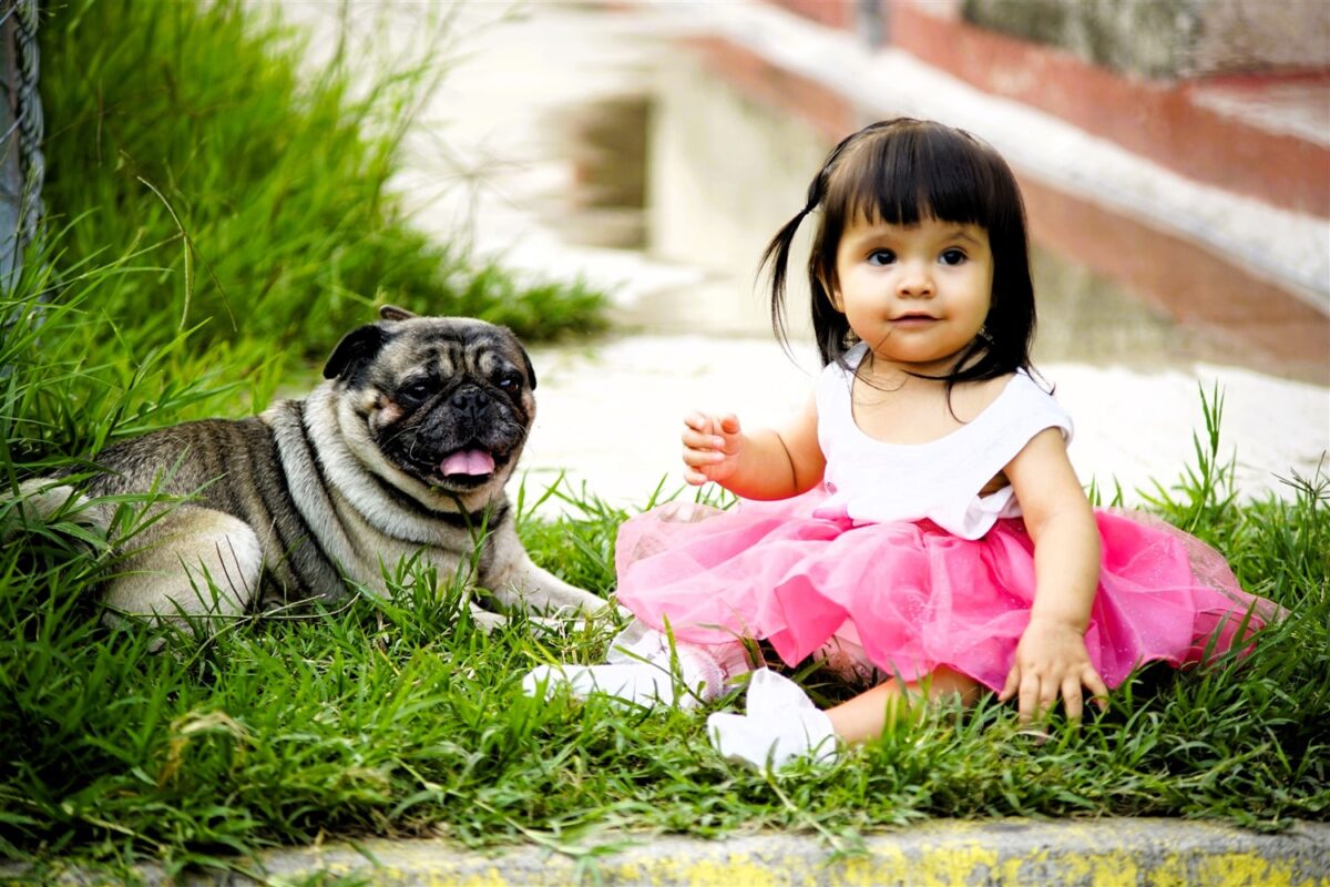 Bambina con cane