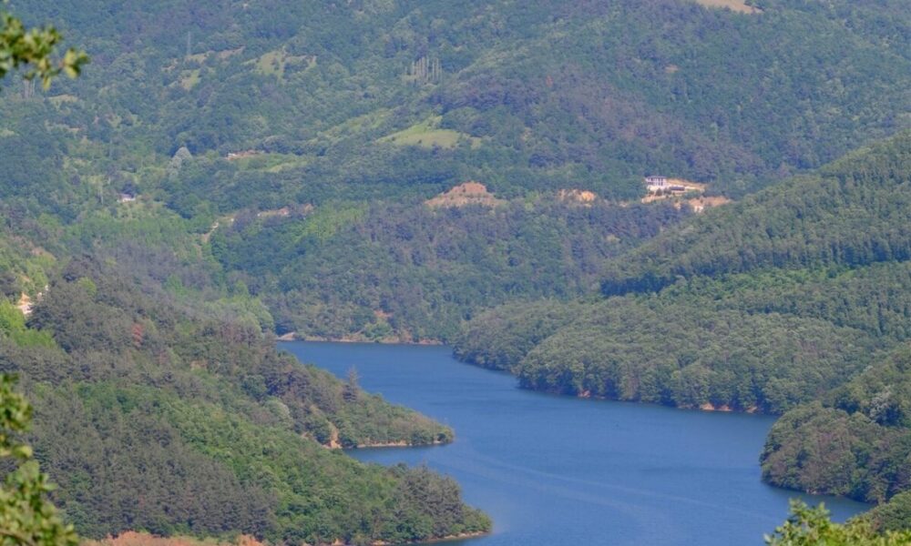 Lago
