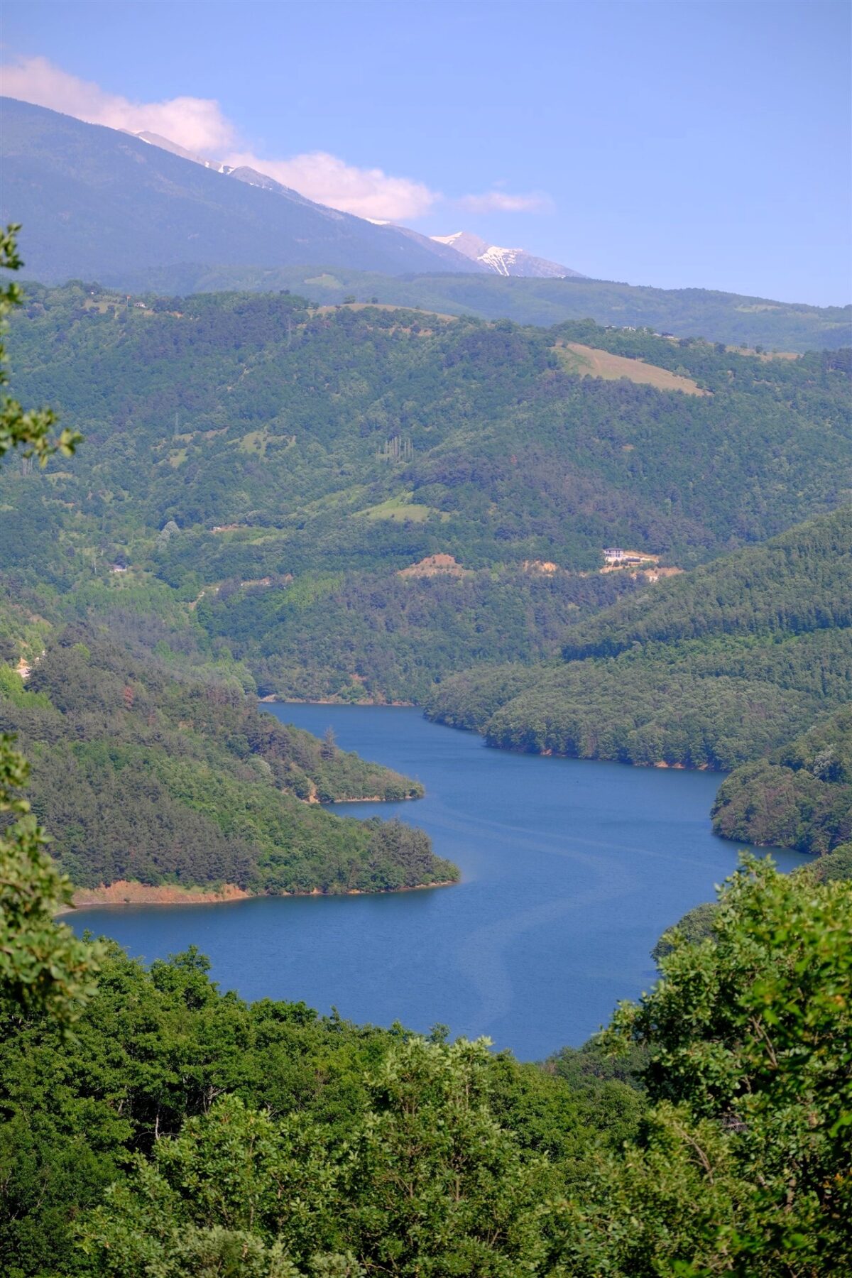 Lago