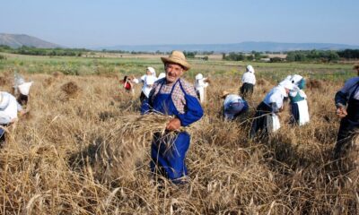 Contadino in un campo