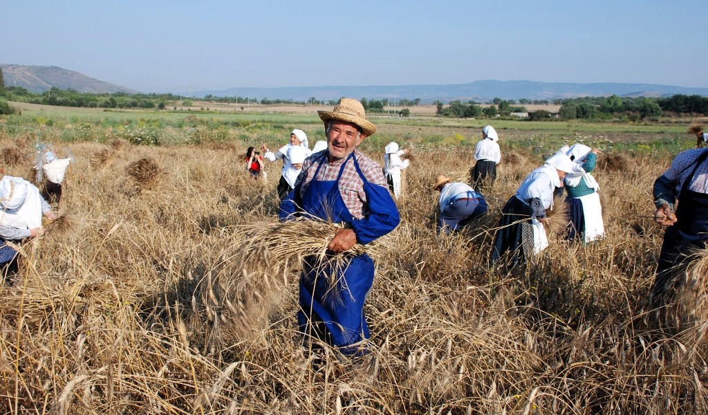 Contadino in un campo