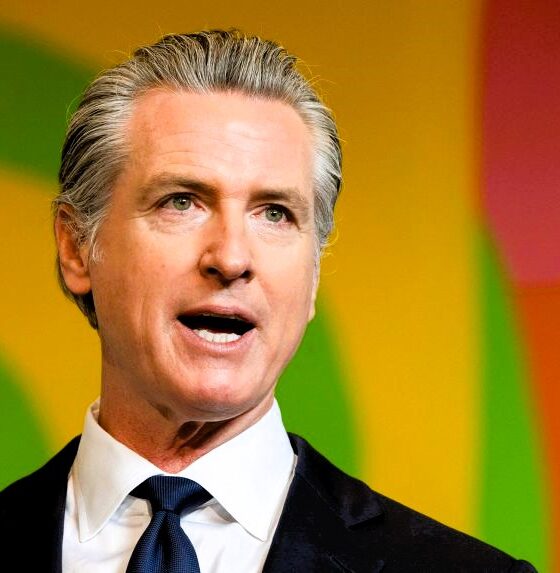 Gavin Newsom