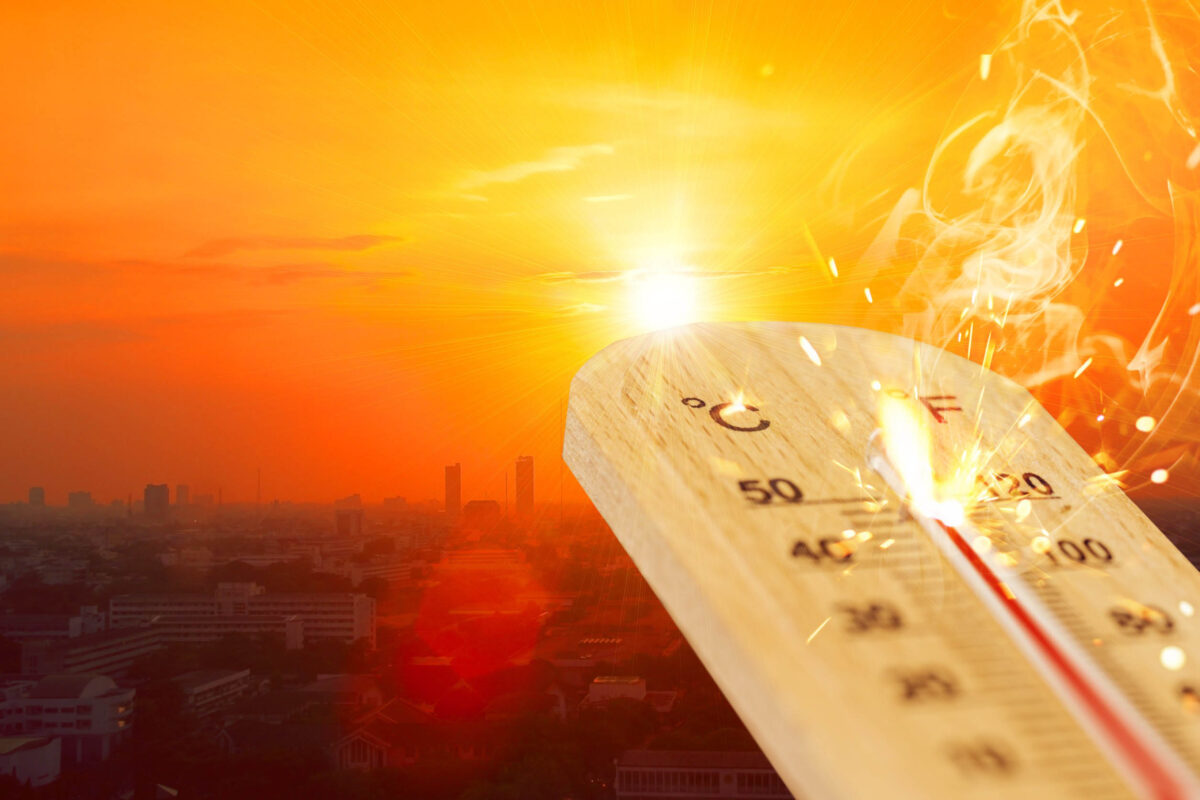 Meteo da incubo, l'estate non si arrende: arriva la "fiammata africana" con picchi fino a 45 gradi. Ecco cosa succederà a settembre 46 Caldo estremo