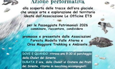 Locandina_Erratici
