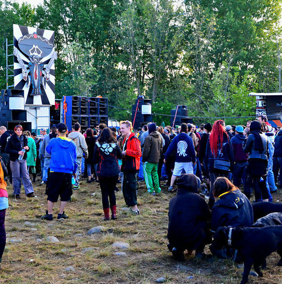 Rave Party