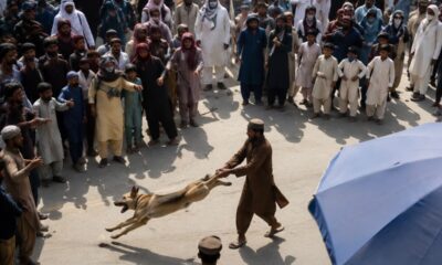 Un cane tra la folla, una scena che sconvolge i social: polemiche dopo la celebrazione in Afghanistan