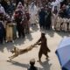 Un cane tra la folla, una scena che sconvolge i social: polemiche dopo la celebrazione in Afghanistan