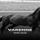 E' morto VARENNE, la grande leggenda del Trotto