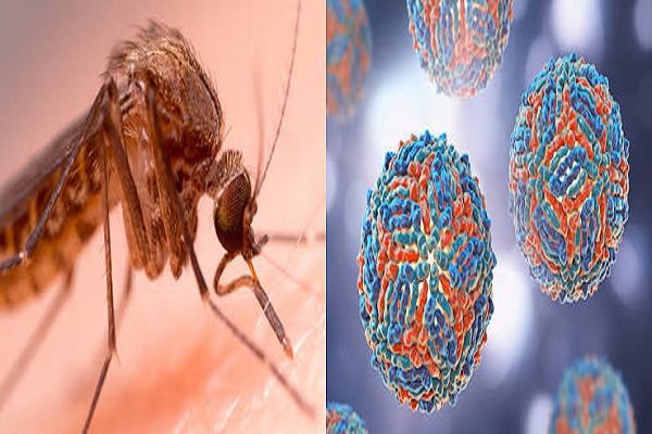 West Nile a Chieti