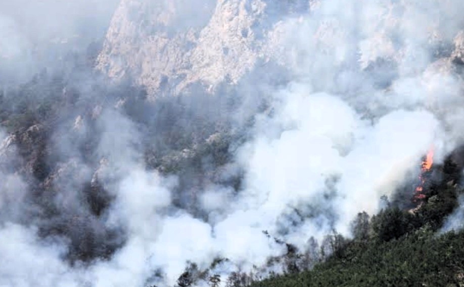 morrone in fiamme