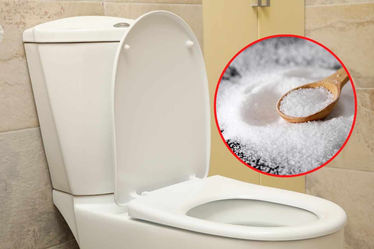 Butta una manciata di sale grosso nel WC prima di andare a dormire: il trucco segreto che ti farà risparmiare centinaia di euro 46 Ale grosso nel water