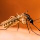west nile abruzzo