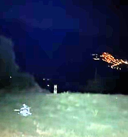 Lupo avvistato a Civita di Oricola